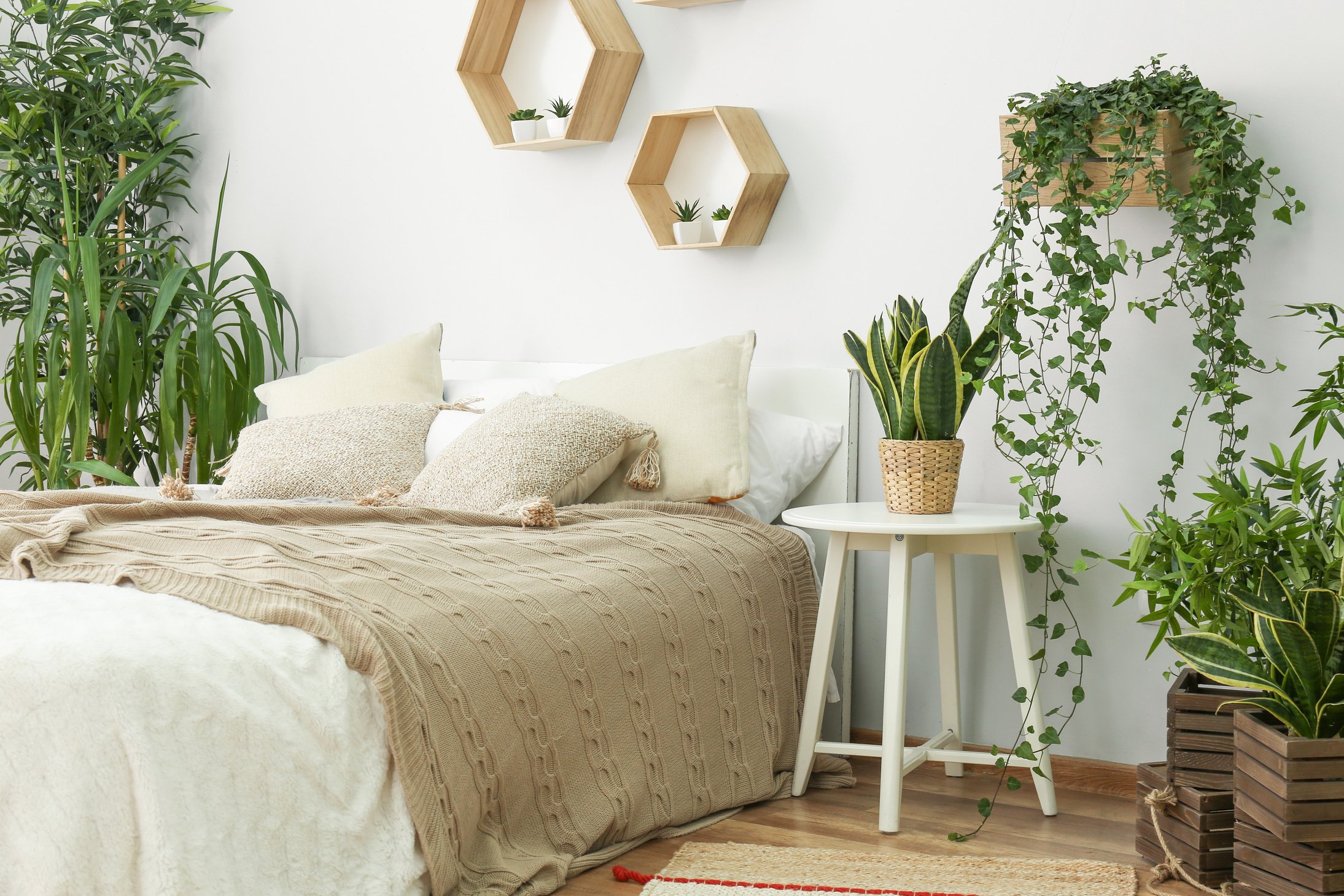 Stylish Interior of Bedroom with Green Houseplants